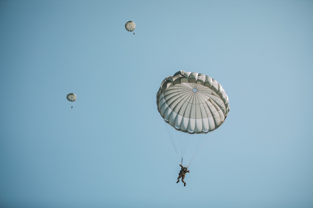 Leapfest 2025