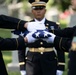 Military Funeral Honors are Conducted for U.S. Army Retired Lt. Col. George Kesnig in Section 1