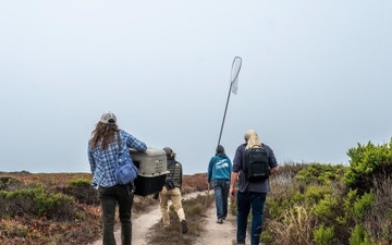 Vandenberg Partners with Local Conservation Team, Releases Pigeon Guillemots on Base