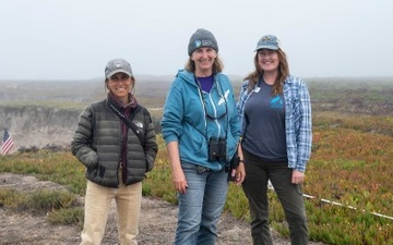 Vandenberg Partners with Local Conservation Team, Releases Pigeon Guillemots on Base