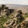2nd Battalion, 502nd Infantry Regiment Conducts Live Fire Exercise in Bulgaria