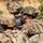 2nd Battalion, 502nd Infantry Regiment Conducts Live Fire Exercise in Bulgaria
