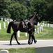 Full Military Funeral Honors with Escort are Conducted for U.S. Army Lt. Gen. Patrick Hughes in Section 34