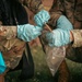 Search and Recovery Training