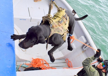 PANAMAX-Alpha 2025: U.S. Southern Command Leads Bilateral Exercise to Protect Panama Canal