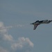 Thunderbirds take to the skies at Fort Wayne Air Show
