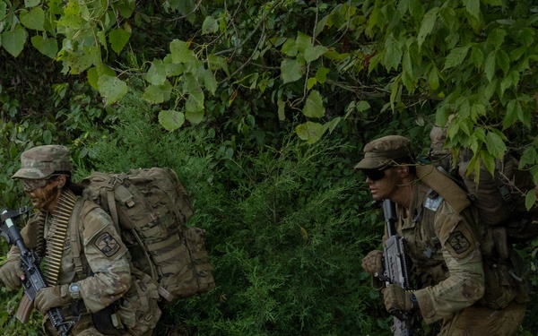 Panther Phase FTX | 8th Regiment, Advanced Camp, CST 2025