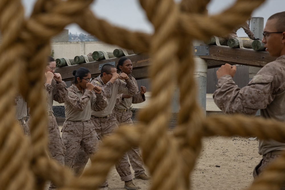 Lima Company Confidence Course