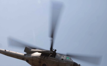 HMLA-369 Enhances Expeditionary Readiness During HOLF Training