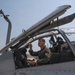 HMLA-369 Enhances Expeditionary Readiness During HOLF Training