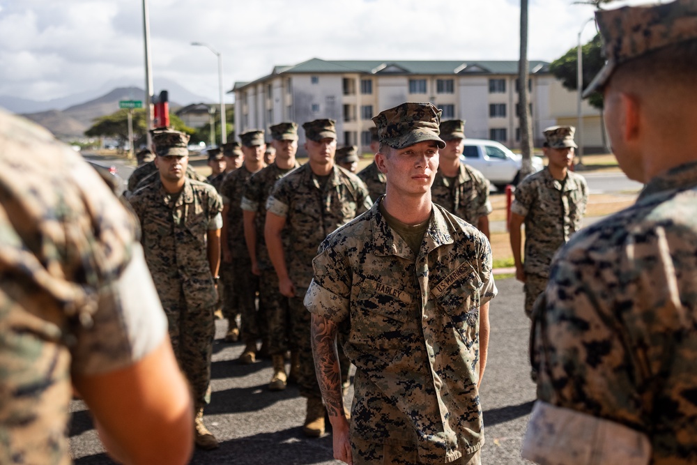 3d MLG Marines receive awards for supporting 3d MLR