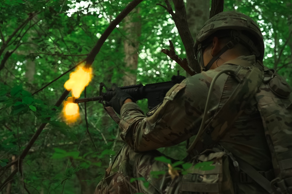 Military District of Washington Best Squad Competition 2025