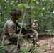 Military District of Washington Best Squad Competition 2025
