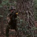 Military District of Washington Best Squad Competition 2025