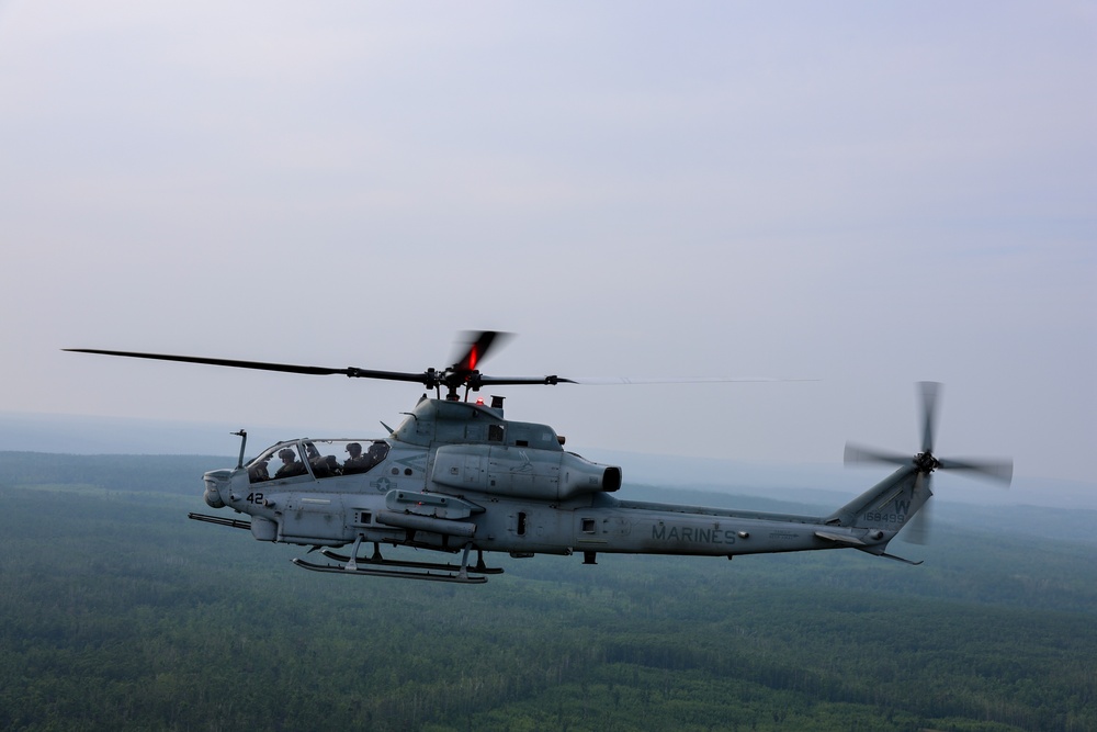 Coyotes on the hunt at Northern Strike 25-2