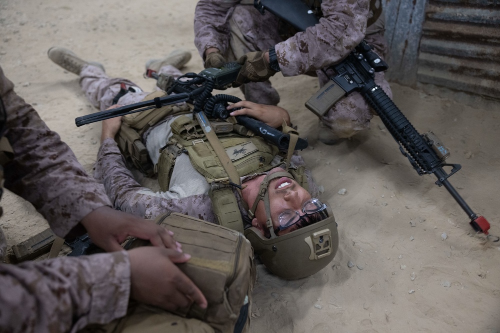 4th ANGLICO &amp; NATO Allies Conduct Infantry Immersion Training During Burmese Chase 25