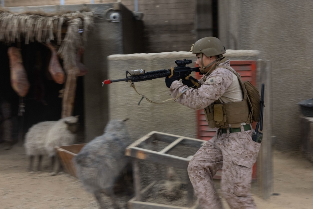 4th ANGLICO &amp; NATO Allies Conduct Infantry Immersion Training During Burmese Chase 25
