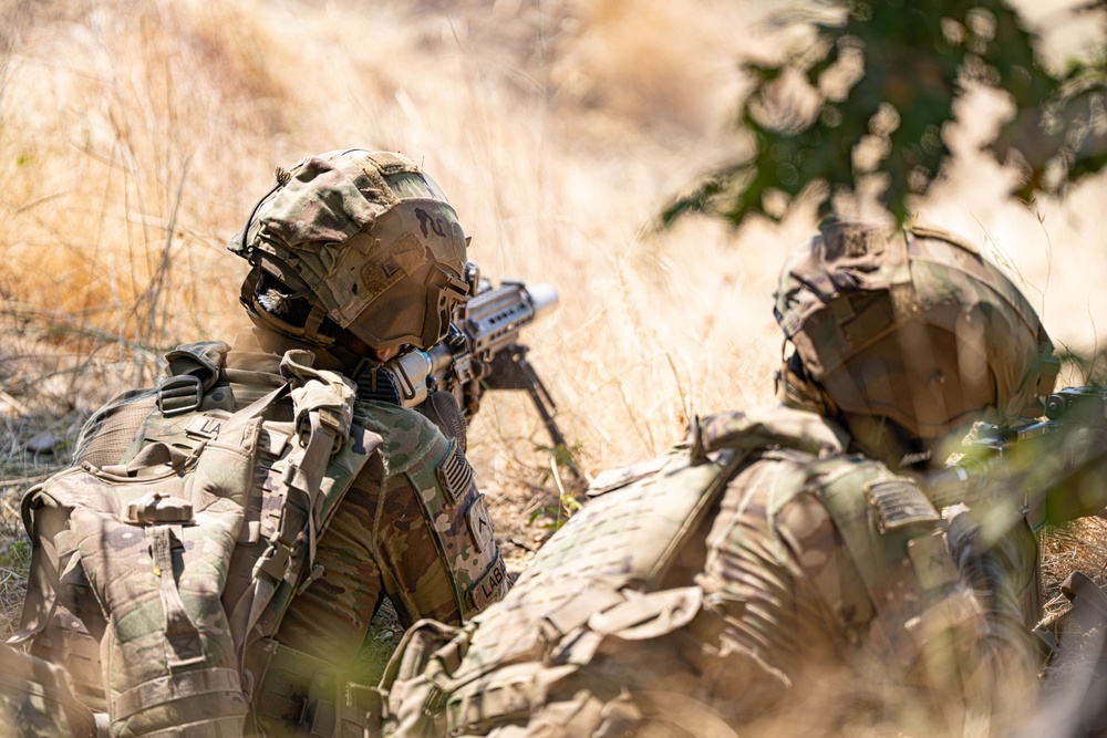 Bravo Company, 2nd Battalion, 502nd Infantry Regiment, CALFX at Novo Selo Training Area, Bulgaria