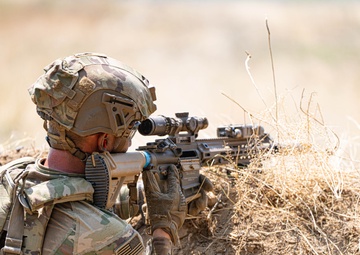 Bravo Company, 2nd Battalion, 502nd Infantry Regiment, CALFX at Novo Selo Training Area, Bulgaria