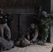 2nd ANGLICO &amp; NATO Allies Conduct Infantry Immersion Training During Burmese Chase 25