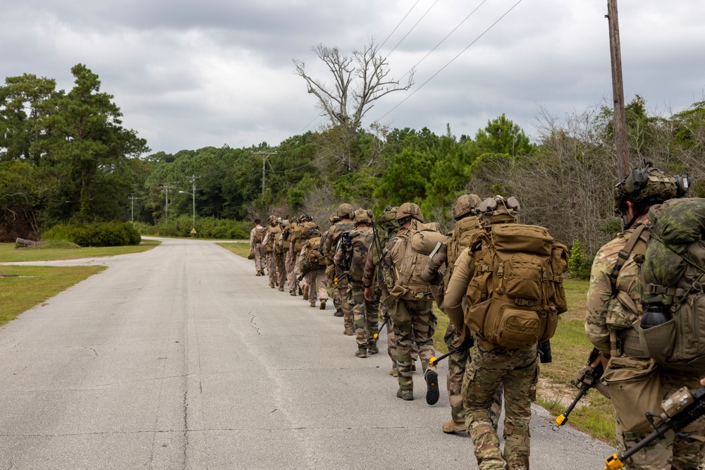 2nd ANGLICO &amp; NATO Allies Conduct Joint Casualty Evacuation Drill During Exercise Burmese Chase 25