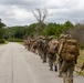 2nd ANGLICO &amp; NATO Allies Conduct Joint Casualty Evacuation Drill During Exercise Burmese Chase 25