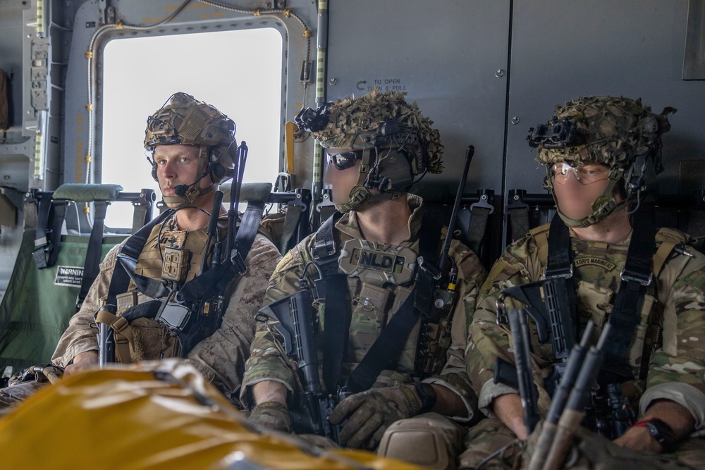 2nd ANGLICO &amp; NATO Allies Conduct Joint Casualty Evacuation Drill During Exercise Burmese Chase 25