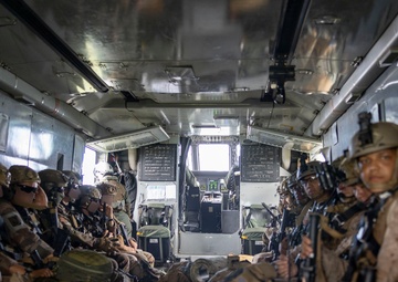 2nd ANGLICO &amp; NATO Allies Conduct Joint Casualty Evacuation Drill During Exercise Burmese Chase 25