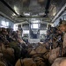 2nd ANGLICO &amp; NATO Allies Conduct Joint Casualty Evacuation Drill During Exercise Burmese Chase 25