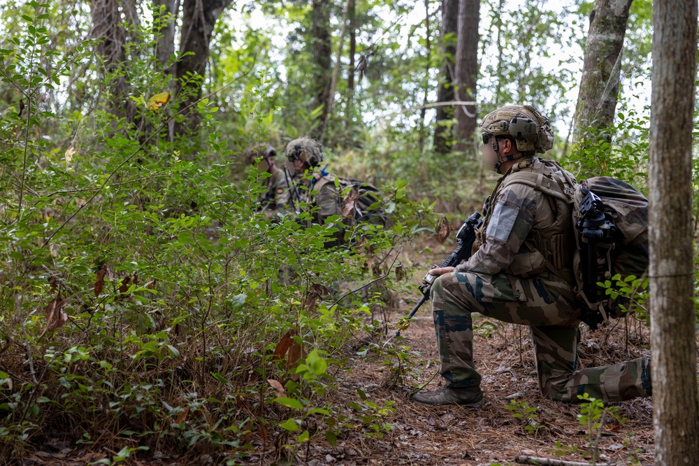 2nd ANGLICO &amp; NATO Allies Conduct Joint Casualty Evacuation Drill During Exercise Burmese Chase 25