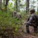 2nd ANGLICO &amp; NATO Allies Conduct Joint Casualty Evacuation Drill During Exercise Burmese Chase 25