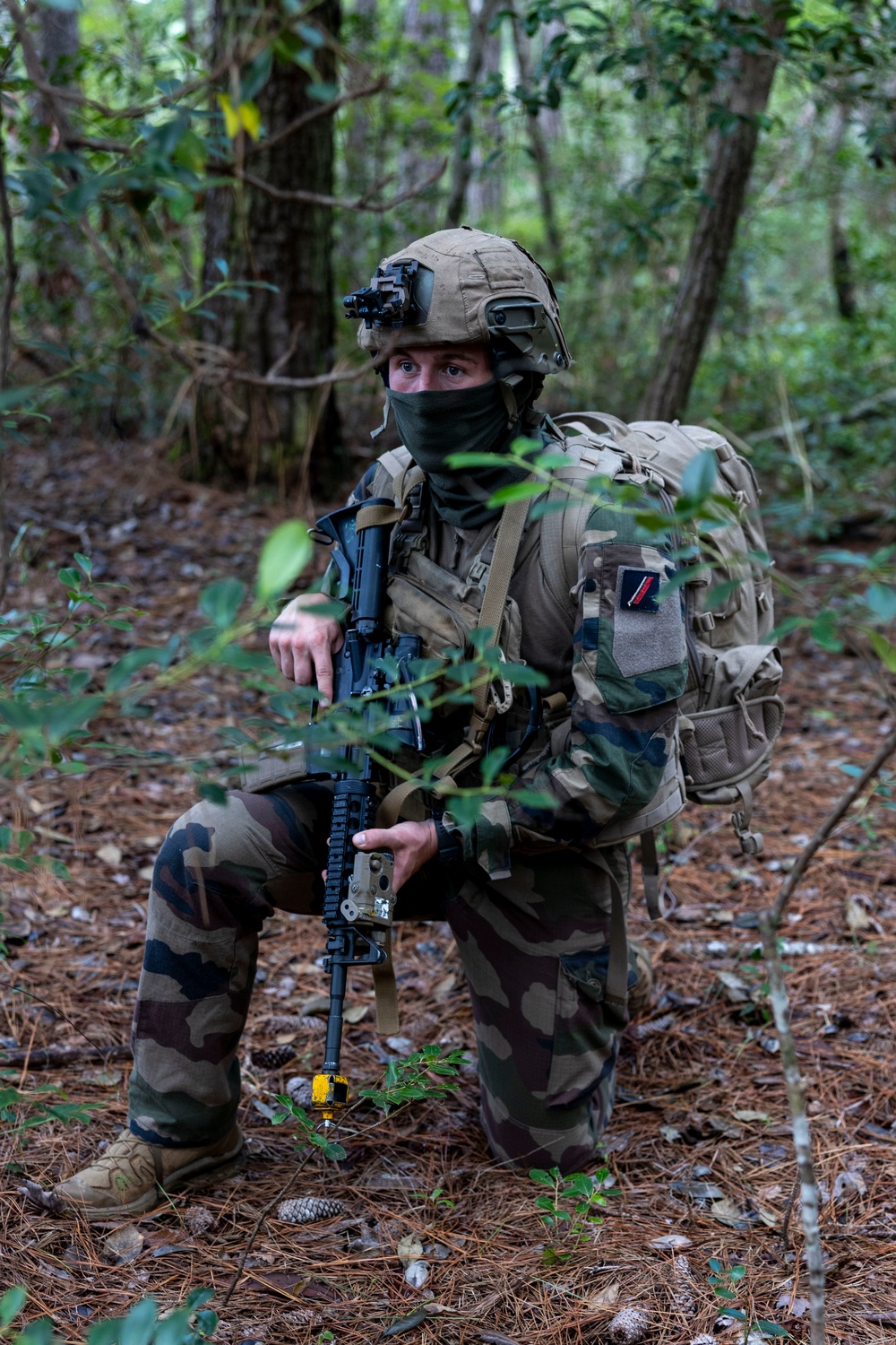 2nd ANGLICO &amp; NATO Allies Conduct Joint Casualty Evacuation Drill During Exercise Burmese Chase 25