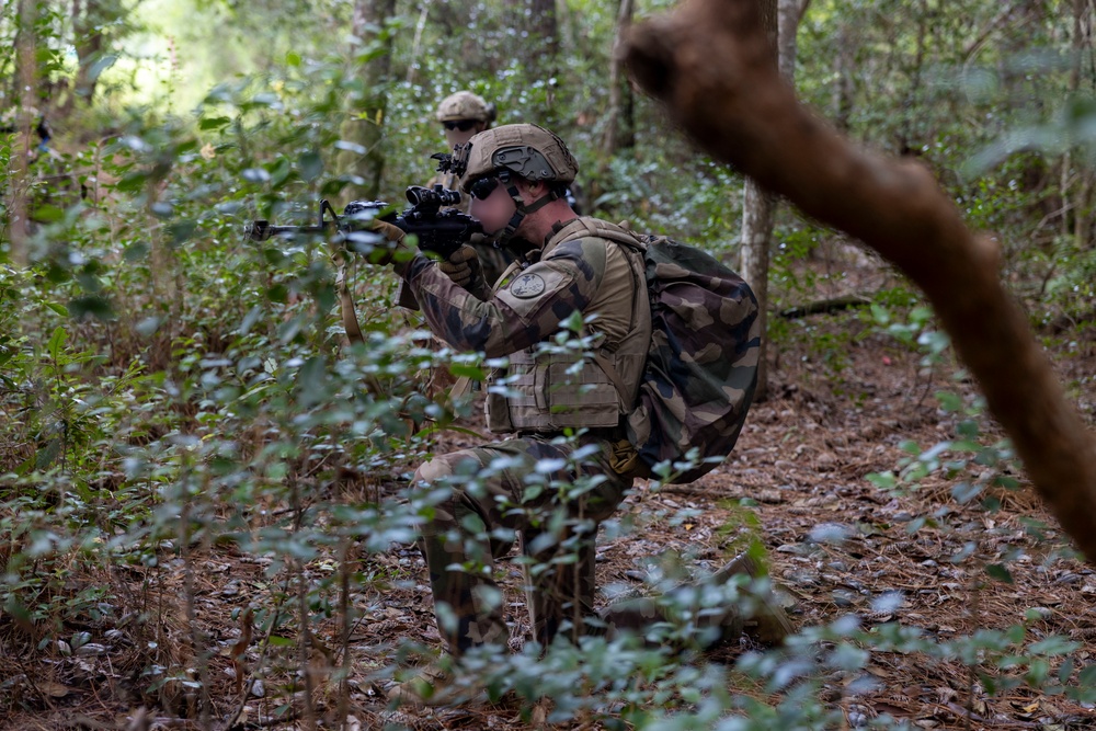2nd ANGLICO &amp; NATO Allies Conduct Joint Casualty Evacuation Drill During Exercise Burmese Chase 25