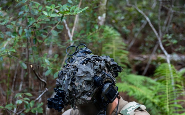 2nd ANGLICO &amp; NATO Allies Conduct Joint Casualty Evacuation Drill During Exercise Burmese Chase 25
