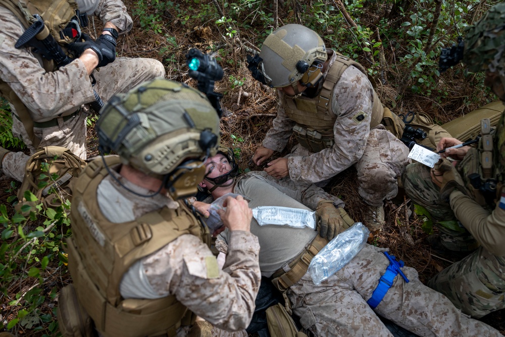 2nd ANGLICO &amp; NATO Allies Conduct Joint Casualty Evacuation Drill During Exercise Burmese Chase 25