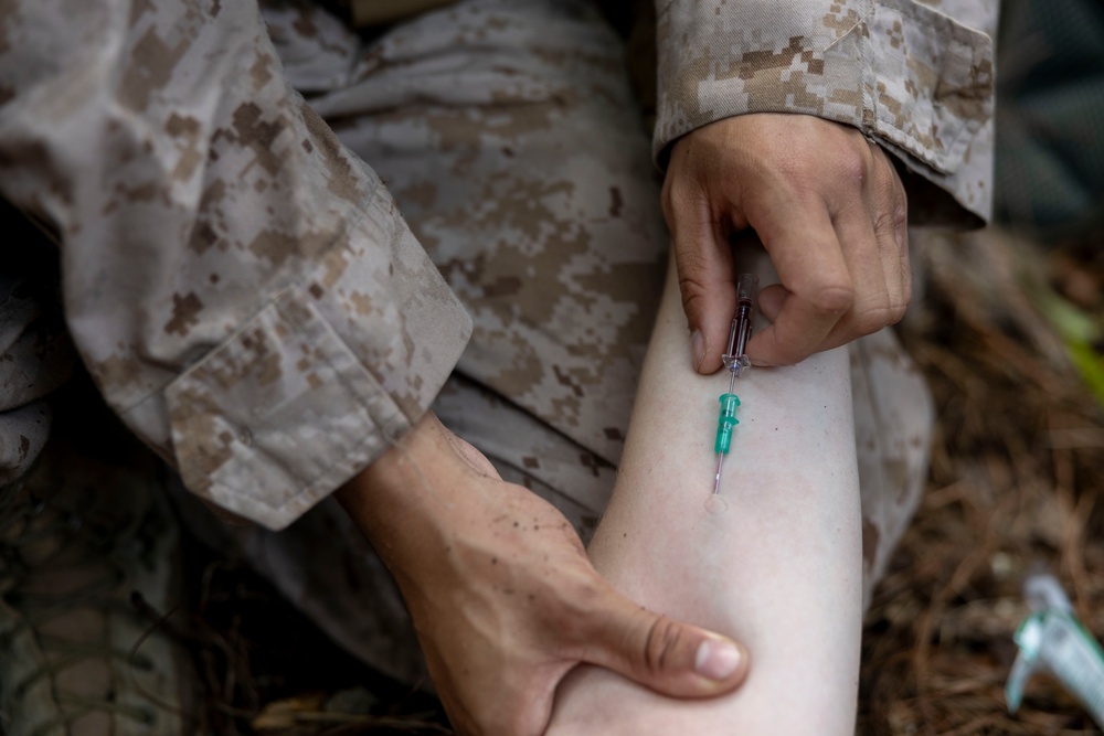 2nd ANGLICO &amp; NATO Allies Conduct Joint Casualty Evacuation Drill During Exercise Burmese Chase 25