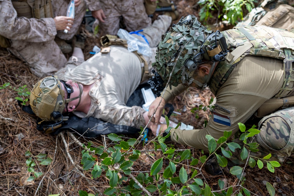 2nd ANGLICO &amp; NATO Allies Conduct Joint Casualty Evacuation Drill During Exercise Burmese Chase 25