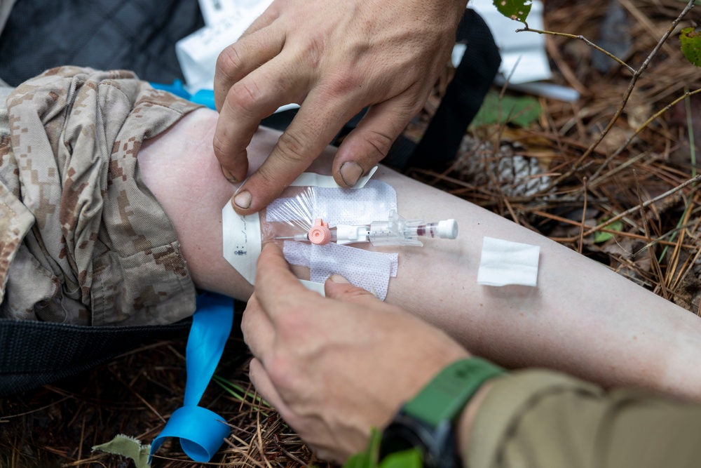 2nd ANGLICO &amp; NATO Allies Conduct Joint Casualty Evacuation Drill During Exercise Burmese Chase 25