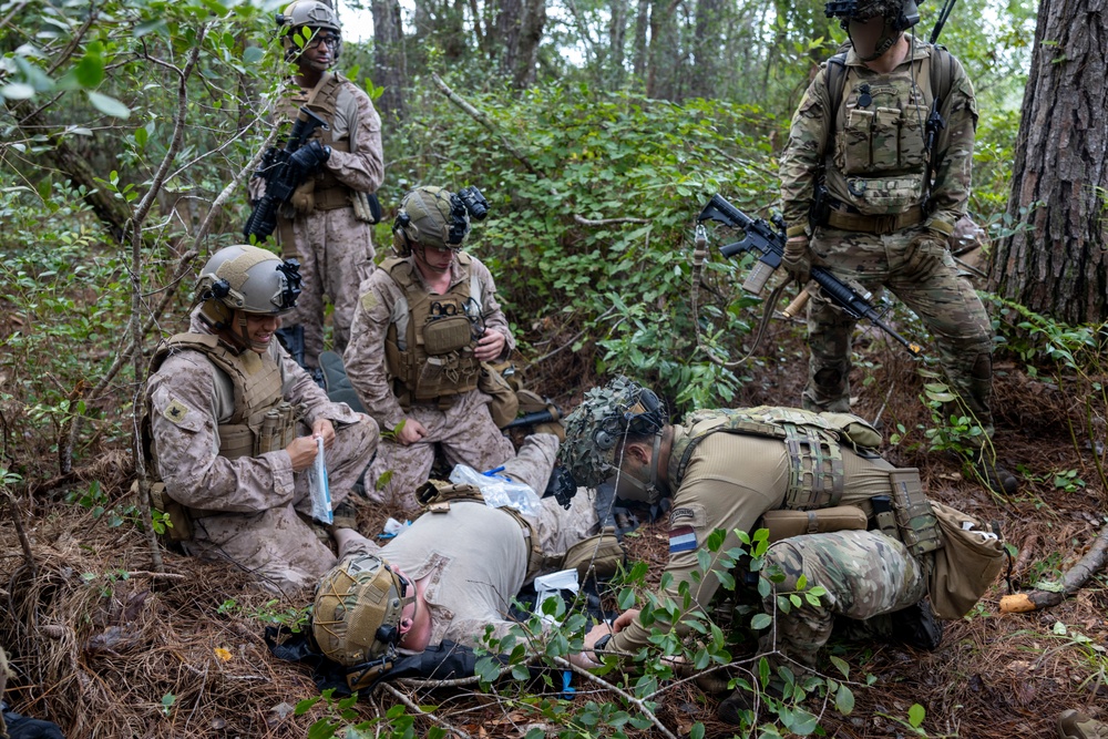 2nd ANGLICO &amp; NATO Allies Conduct Joint Casualty Evacuation Drill During Exercise Burmese Chase 25