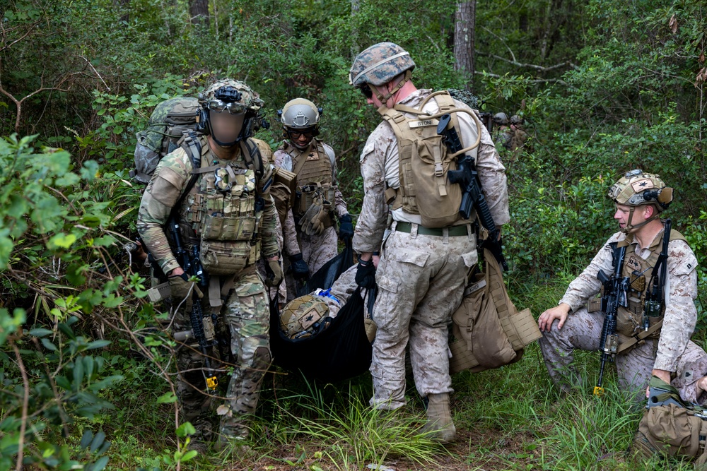 2nd ANGLICO &amp; NATO Allies Conduct Joint Casualty Evacuation Drill During Exercise Burmese Chase 25