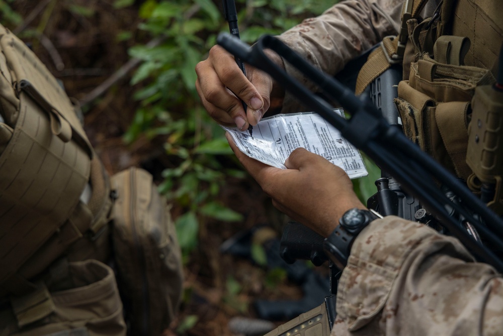 2nd ANGLICO &amp; NATO Allies Conduct Joint Casualty Evacuation Drill During Exercise Burmese Chase 25