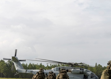 2nd ANGLICO &amp; NATO Allies Conduct Joint Casualty Evacuation Drill During Exercise Burmese Chase 25