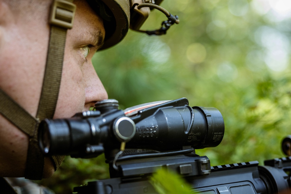 NS25: 1st ANGLICO and 5th SFAB conducts Littoral Defense