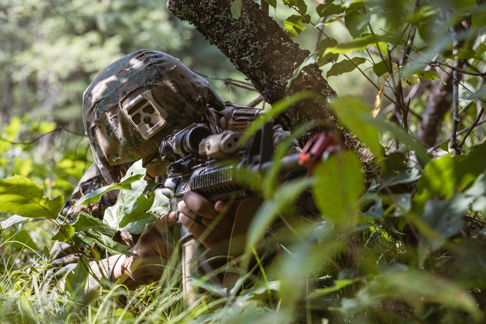 NS25: 1st ANGLICO and 5th SFAB conducts Littoral Defense