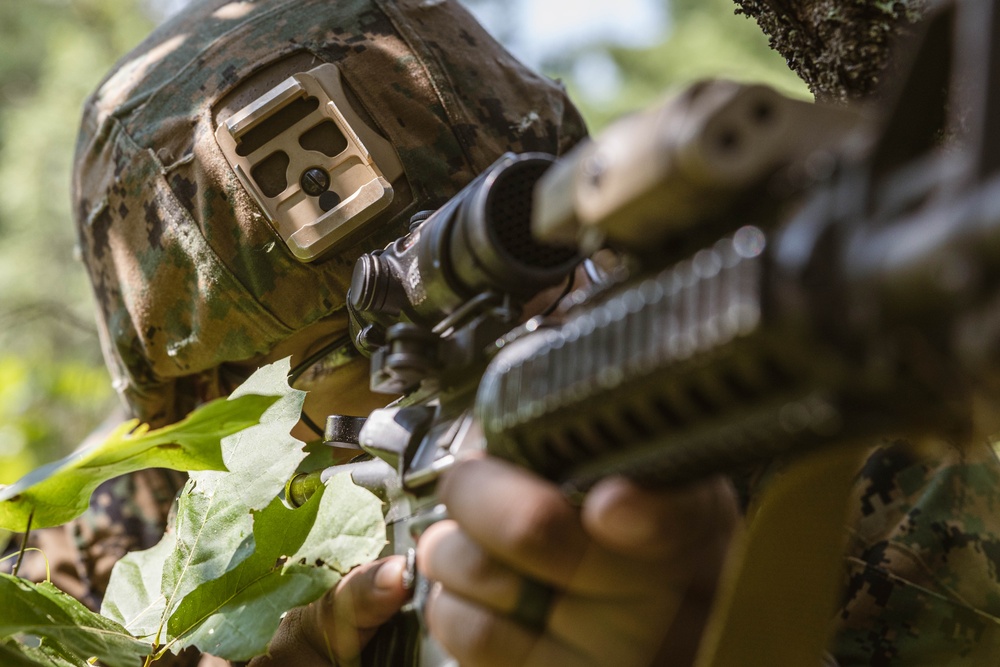 NS25: 1st ANGLICO and 5th SFAB conducts Littoral Defense
