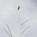 2025 Kaneohe Bay Air Show: Day 1