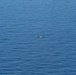 MV-22B Osprey Deployed from USS America (LHA 6) Drops Sonobuoys
