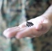 First meritorious Sergeant promotions on Camp Blaz