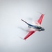 Viper Demo soars at F-AIR 2025