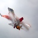 Viper Demo soars at F-AIR 2025